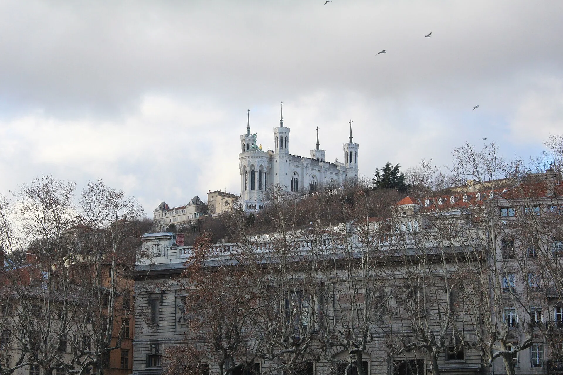 Vue réelle de Lyon et de la basilique Notre-Dame de Fourvière
